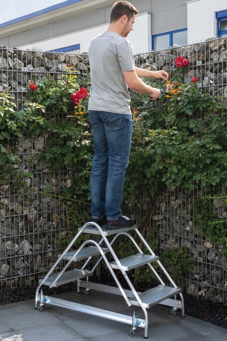 Marchepied avec marches des deux côtés
